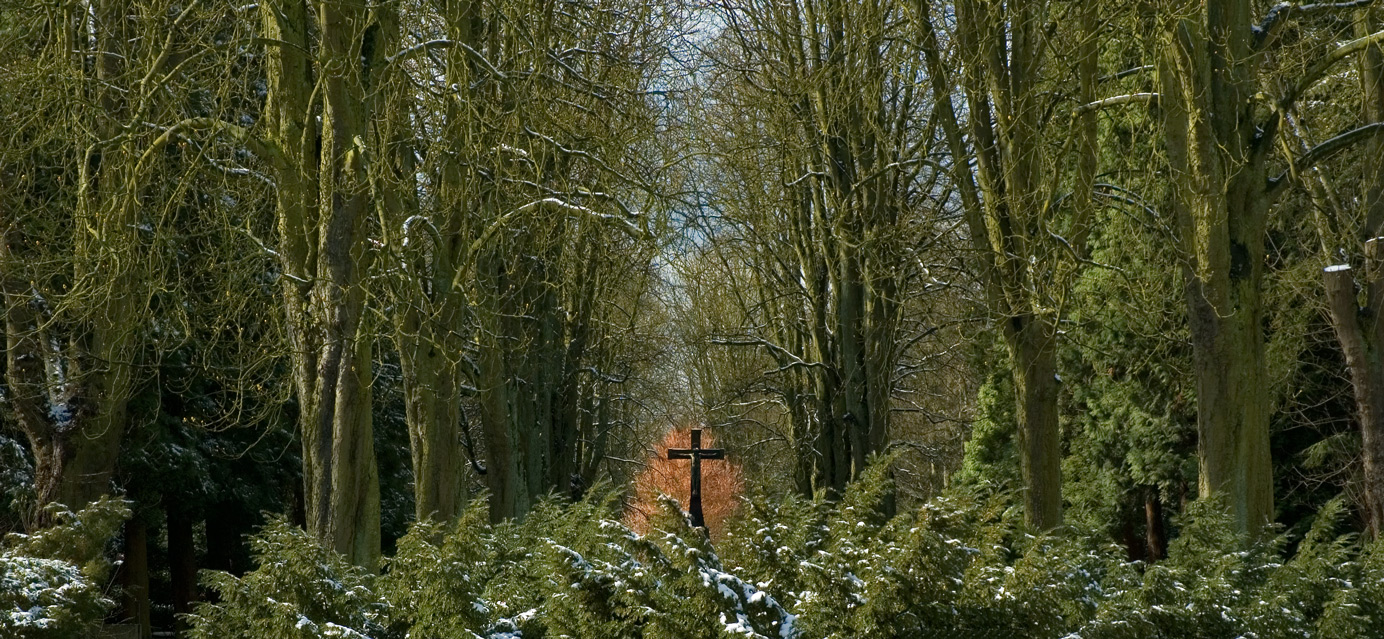 Forest Cross